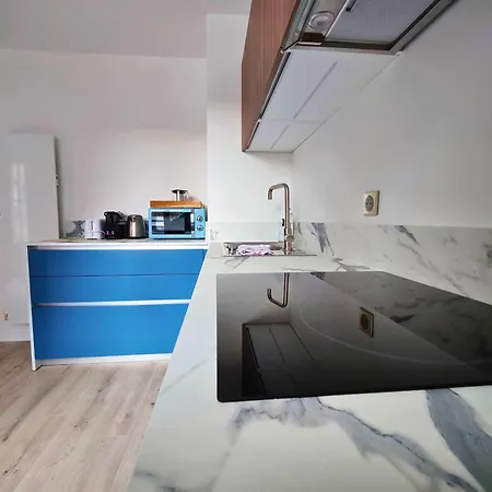 Apartament La Treille Vieux-lille - 4 Pers - Parking